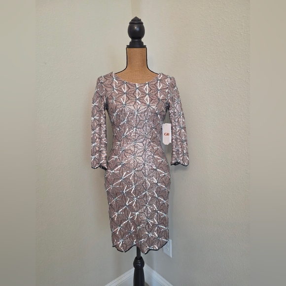 Gianni Bini Dresses & Skirts - Gianni Bini Pink and Silver Sequin Dress